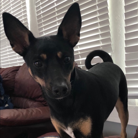 Meet your Posher, Sherry, Posh Ambassador - Picture 8 of 14